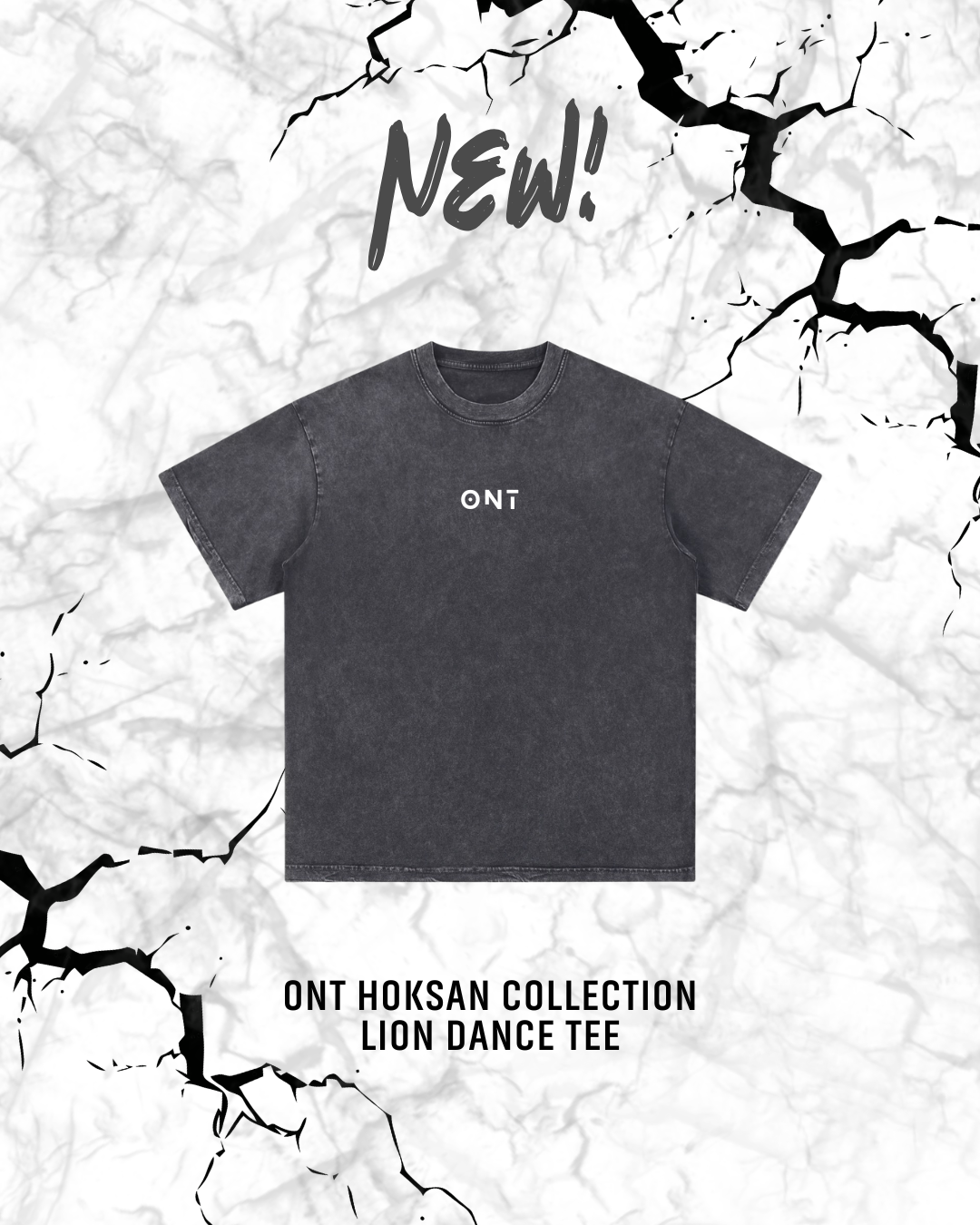 ONT Hok San Collection Lion Dance Washed Short-sleeve T-shirt